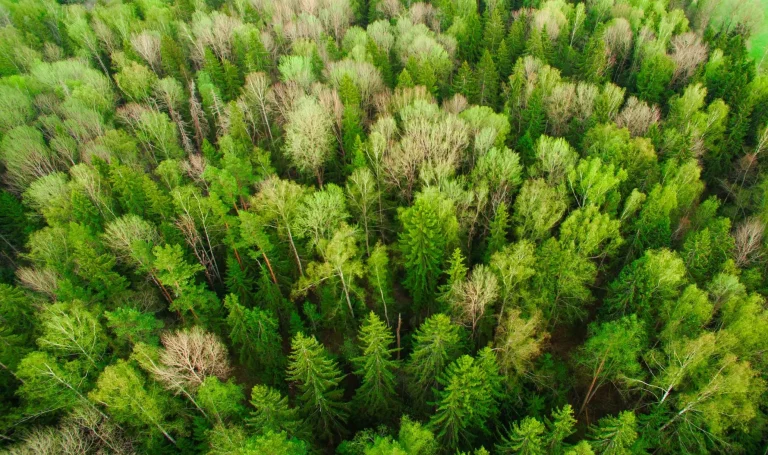 Made our climate commitment.